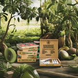 9ice Handrolled Flavoured Cigraillos