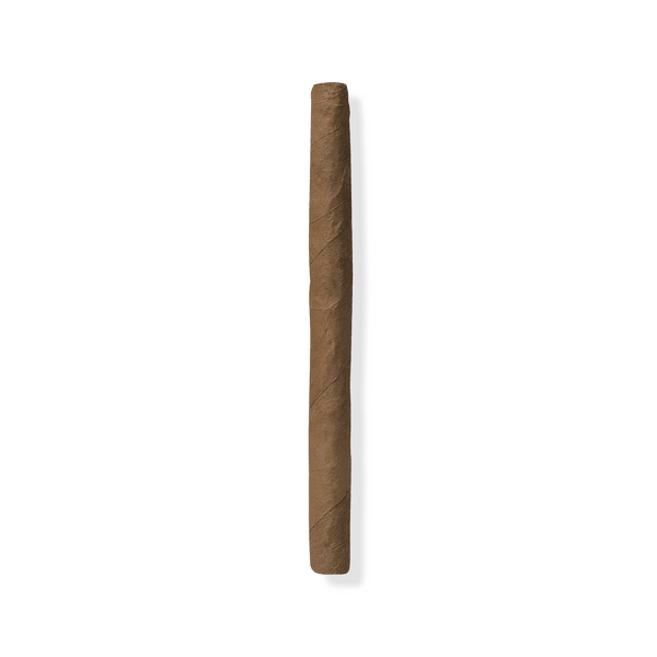 Davidoff Mini Cigarillos Gold