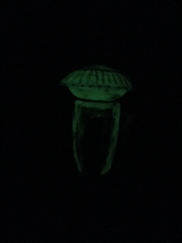 CYCLING ALIEN GLOW IN THE DARK MIXING BOWL