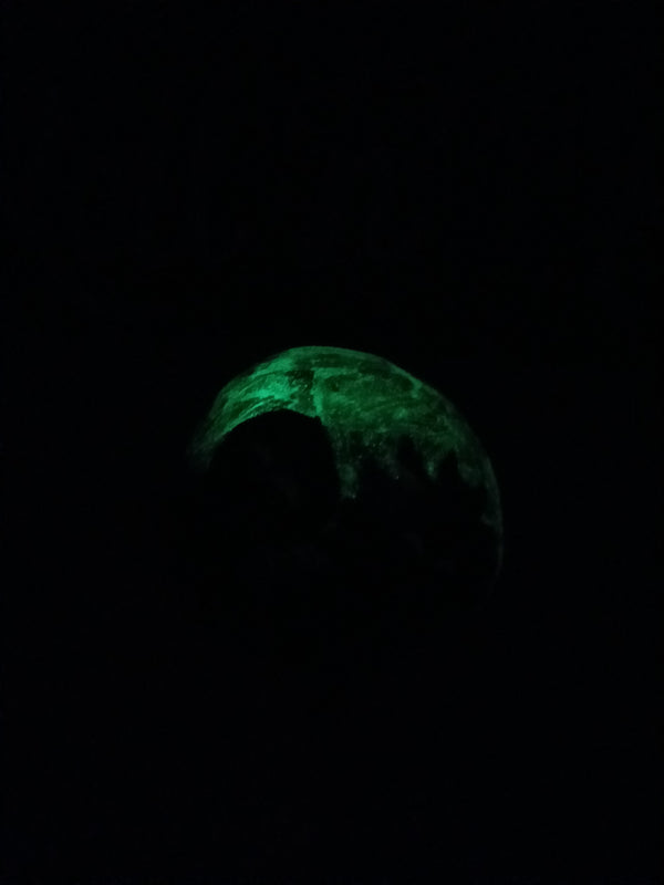 RICK AND MORTY ON ACID GLOW IN THE DARK MIXING BOWL